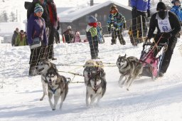 Lenk 2012 SM